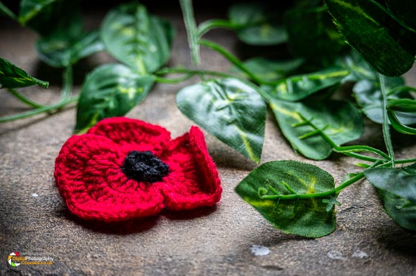 Remembrance Day 2024